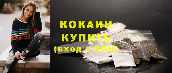 дживик Баксан