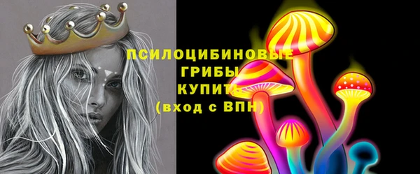 дживик Баксан